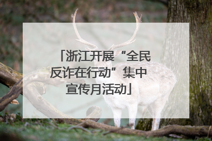 浙江开展“全民反诈在行动”集中宣传月活动